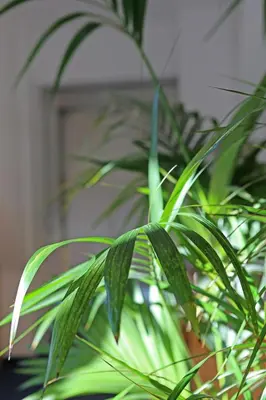Grundriss der Unterkunft Haus der Begegnung