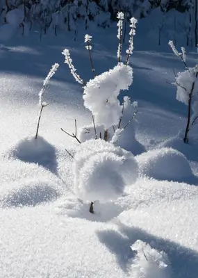 Apartmenthaus Mountainvista im Winter