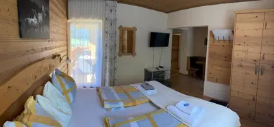 TV/Unterhaltungsangebot in der Unterkunft Haus Voithofer