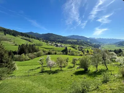 Naturlandschaft in der Nähe der Ferienwohnung