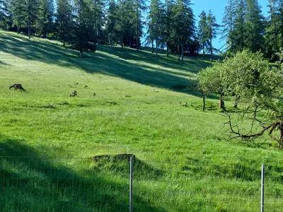 Grundriss der Unterkunft Sommerholz