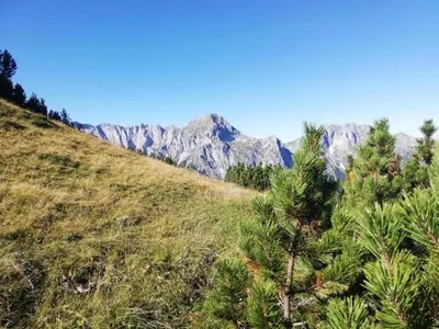 Naturlandschaft in der Nähe der Ferienwohnung