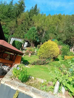 Ein Garten an der Unterkunft Haus Sonnblick