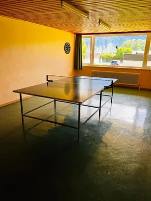 Tischtennis in der Unterkunft GAMSBLICK Bad Aussee Ferienwohnung oder in der Nähe