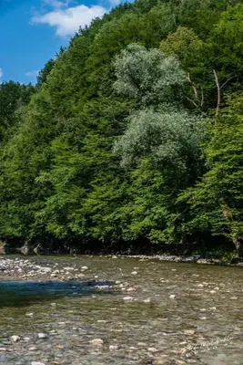 Naturlandschaft in der Nähe der Ferienwohnung