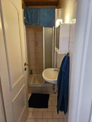 Ein Badezimmer in der Unterkunft Wohnung im Nationalpark Kalkalpen 2