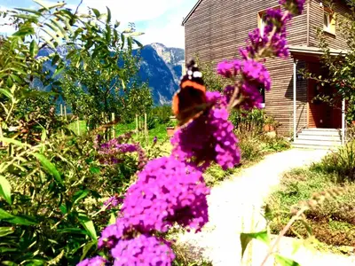 Ein allgemeiner Bergblick oder ein Berglick von der Ferienwohnung aus