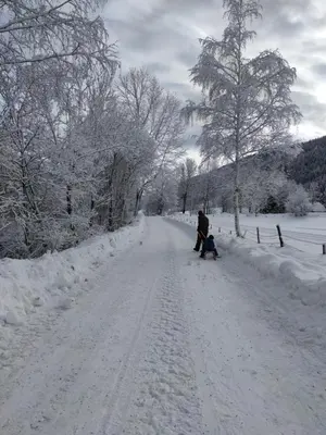 Gästehaus Moser im Winter