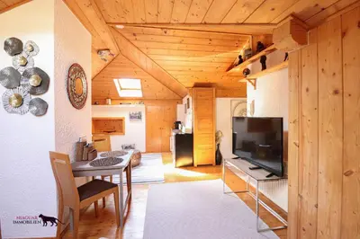 TV/Unterhaltungsangebot in der Unterkunft Das Mondsee-Apartment