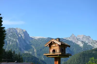 Naturlandschaft in der Nähe der Ferienwohnung