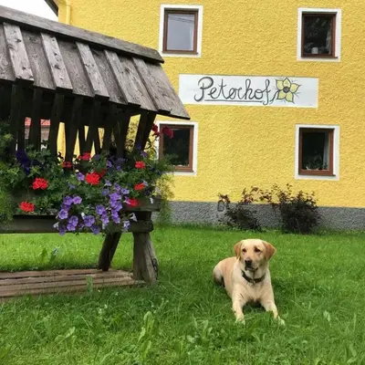 Peterhof – komm als Gast & geh als Freund