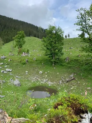 Naturlandschaft in der Nähe des Bed & Breakfasts