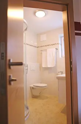 Ein Badezimmer in der Unterkunft Zeilner Dachstein Apartment