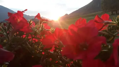 Naturlandschaft in der Nähe des Bed & Breakfasts