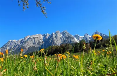 Naturlandschaft in der Nähe der Pension