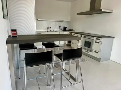 Küche/Küchenzeile in der Unterkunft Luxus-Apartment in historischer Villa, Balkon & Lift, Nähe Therme Bad Hall
