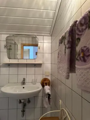 Ein Badezimmer in der Unterkunft Frische Bergluft und ländlicher Charme - Ihr aktiver Urlaub am Mühlauhof