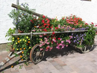 Ein Garten an der Unterkunft Urlaub am Kräutlhof in Mariapfarr