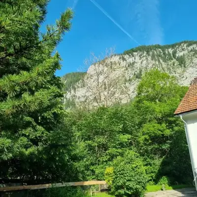 Gorshof