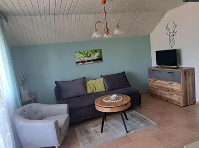 TV/Unterhaltungsangebot in der Unterkunft Ferienwohnung direkt am See 3