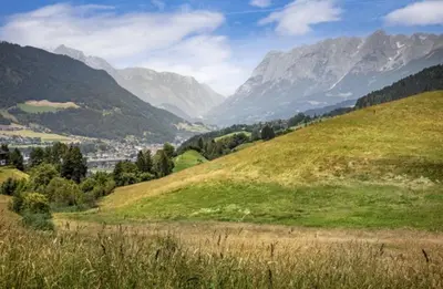 Naturlandschaft in der Nähe des Ferienhauses