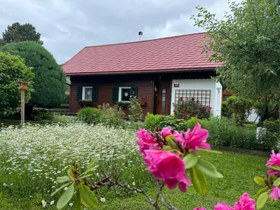 Ein Garten an der Unterkunft Ferienhaus - Senn-Inn im Zentrum von Schladming
