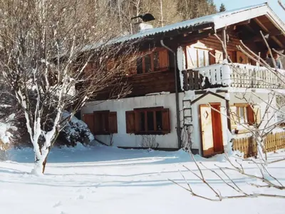Holiday Home Ferienhaus Giselbrecht by Interhome im Winter