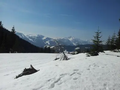 Naturlandschaft in der Nähe der Ferienwohnung