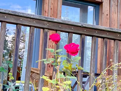 Ein Garten an der Unterkunft Chalet Attersee - ganzes Ferienhaus, Seeblick, Kamin, Sauna