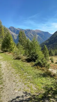 Naturlandschaft in der Nähe der Ferienwohnung