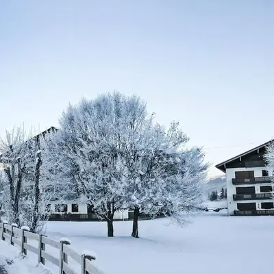 Apartment Dachstein Top 12 by Interhome