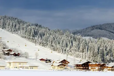 Apartments in Flachau - Salzburger Land 49982 im Winter