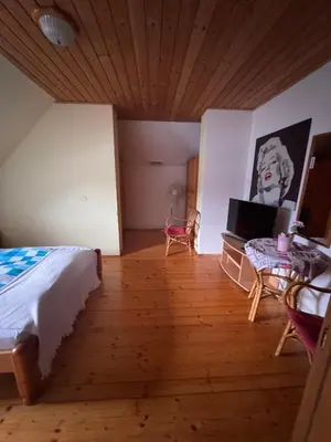 TV/Unterhaltungsangebot in der Unterkunft Austria Traveller Hotel Kirchdorf