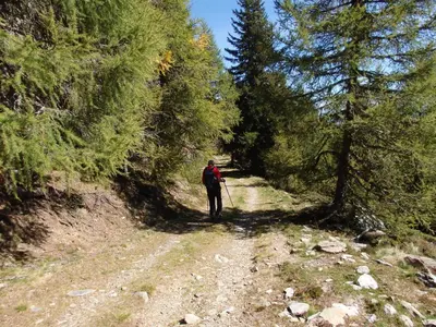 Naturlandschaft in der Nähe des Ferienhauses