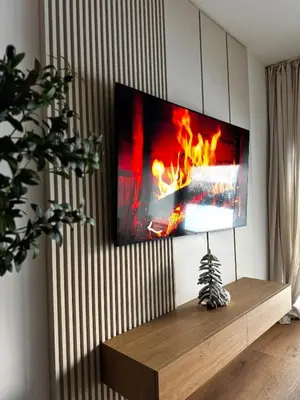 TV/Unterhaltungsangebot in der Unterkunft Stylisches Design-Apartment
