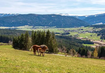Naturlandschaft in der Nähe der Ferienwohnung