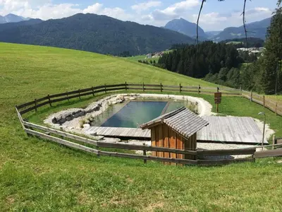 Der Swimmingpool an oder in der Nähe von BUAMA Kammer