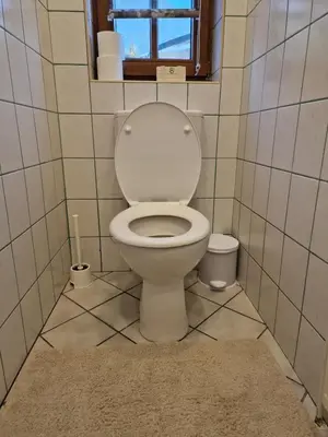 Ein Badezimmer in der Unterkunft Family House Bad Goisern am Hallstättersee