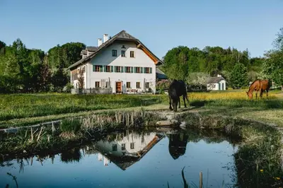 Tiere in der Ferienwohnung oder in der Nähe
