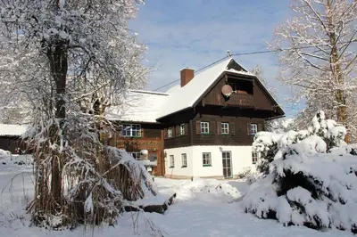 Dachstein Chalet Goisern im Winter