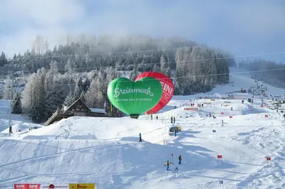 Almchalet im Winter