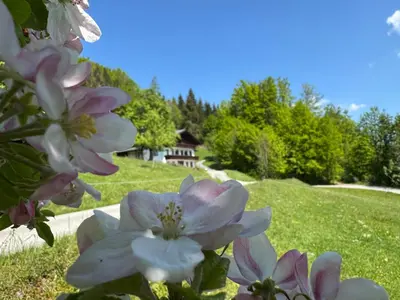 Ein Garten an der Unterkunft Apartment Naturhof Roithbauer