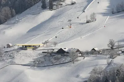 Fenzhof im Winter