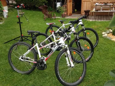 Radfahren an der Unterkunft Ferienwohnungen Bachergut oder in der Nähe