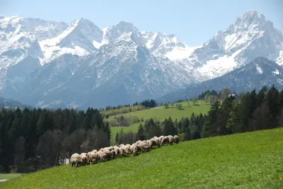 Naturlandschaft in der Nähe der Ferienwohnung