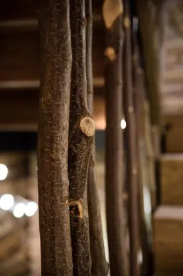 Grundriss der Unterkunft der baum hideaway