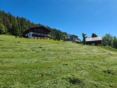Naturlandschaft in der Nähe der Ferienwohnung