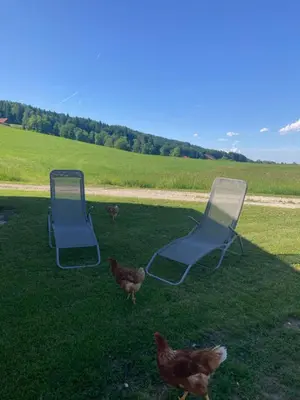 Grundriss der Unterkunft Ferienwohnung Mondsee-Irrsee
