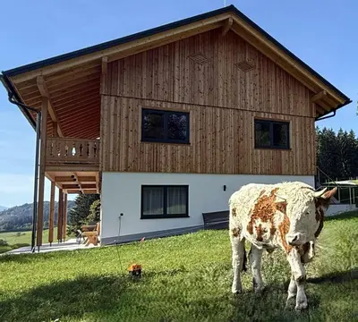 Tiere in der Ferienwohnung oder in der Nähe