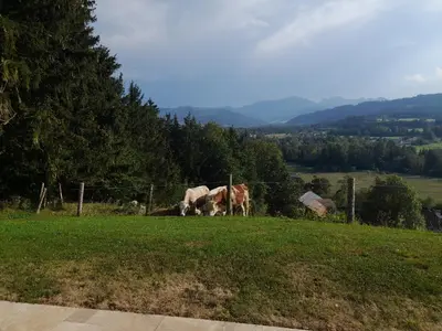 Tiere im Chalet oder in der Nähe